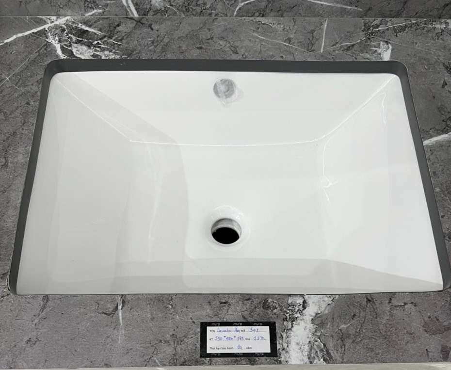 LAVABO ĐẶT BÀN 541